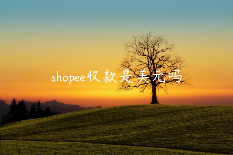 shopee收款是美元嗎